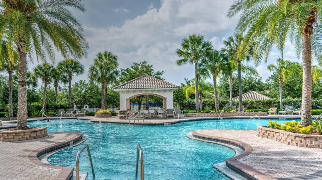 Palm tree planted near pool